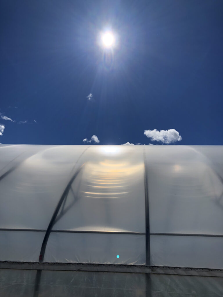 image of sun over greenhouse