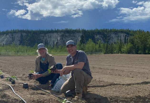 Planting in field