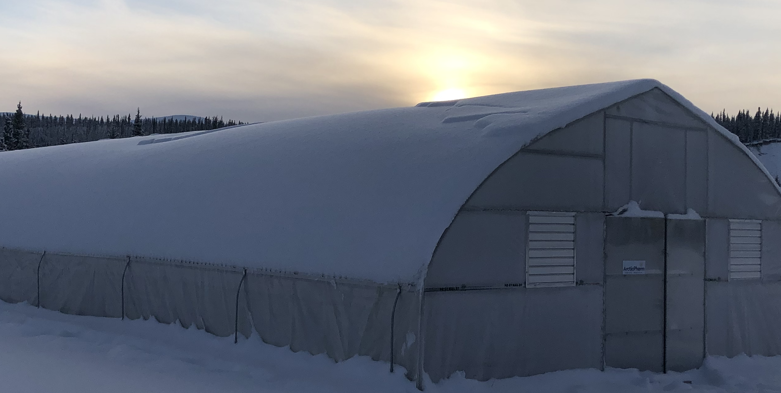 Greenhouse in snow