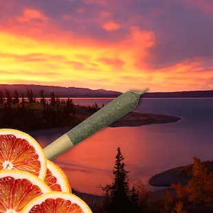 Yukon Sunset Infused Pre-roll Product Thumbnail