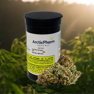 ArcticPharm Organic Flower